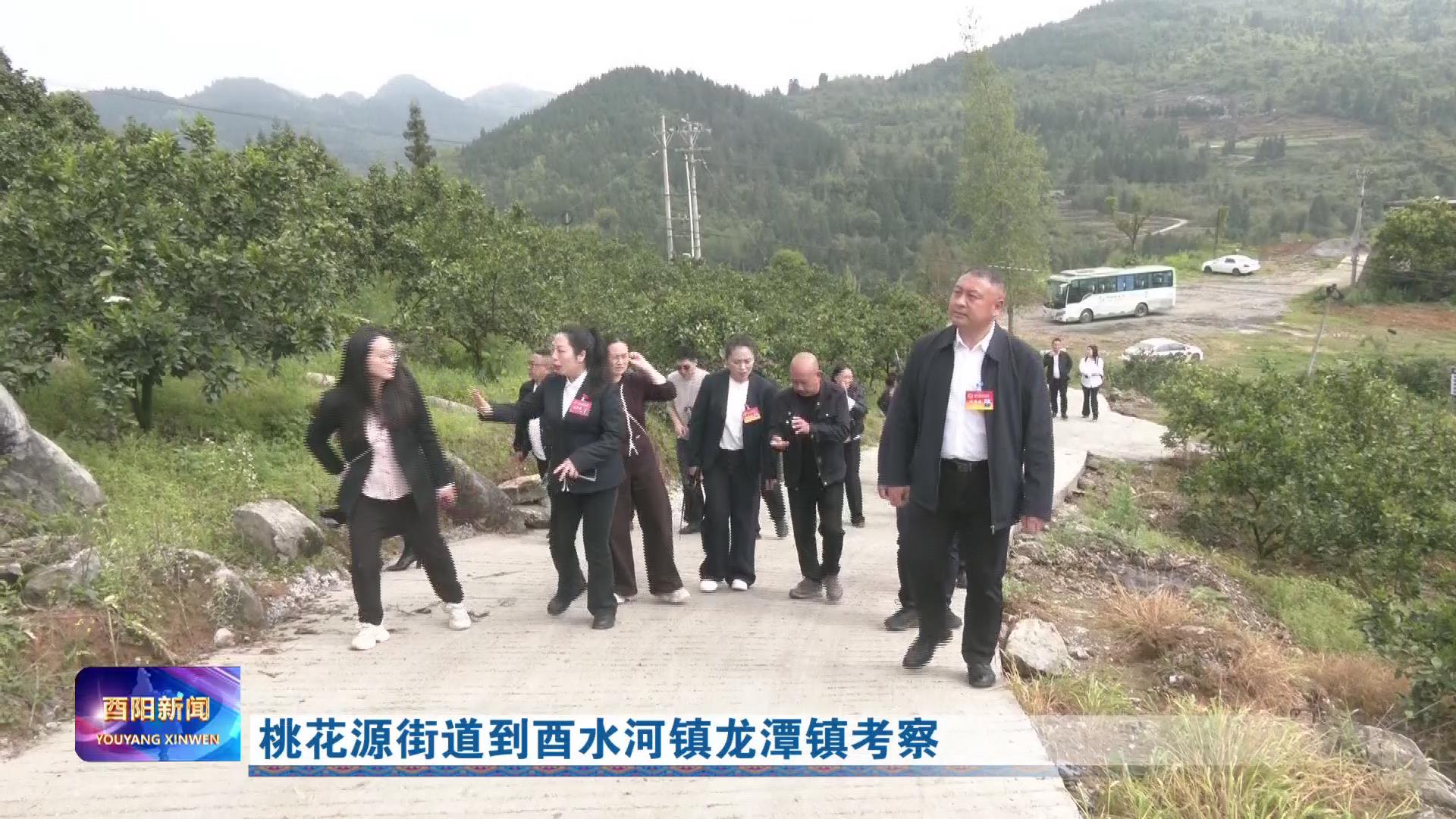 桃花源街道到酉水河镇龙潭镇考察