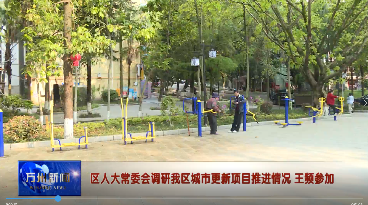 区人大常委会调研我区城市更新项目推进情况 王频参加