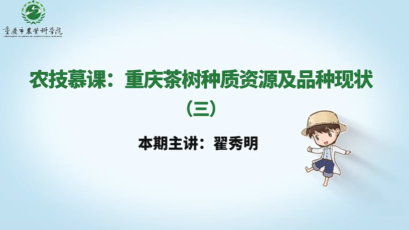 【农技慕课】重庆茶树种质资源及品种现状（三）
