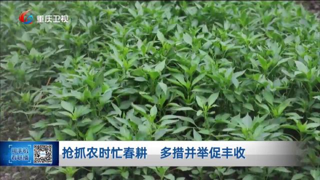 抢抓农时忙春耕 多措并举促丰收