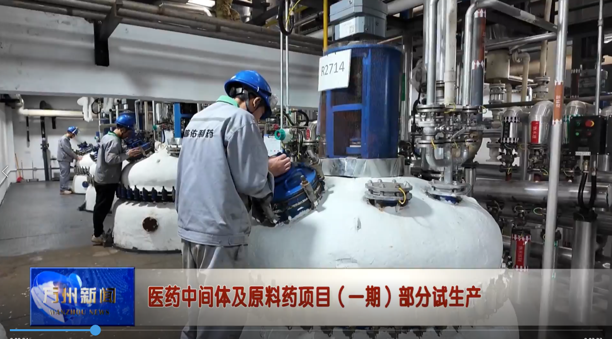 医药中间体及原料药项目（一期）部分试生产