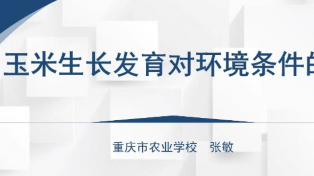 【农技慕课】玉米生长发育对环境条件的要求