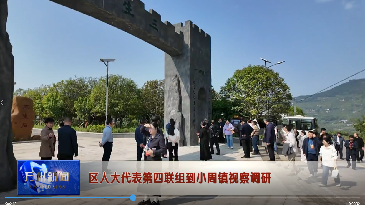 区人大代表第四联组到小周镇视察调研