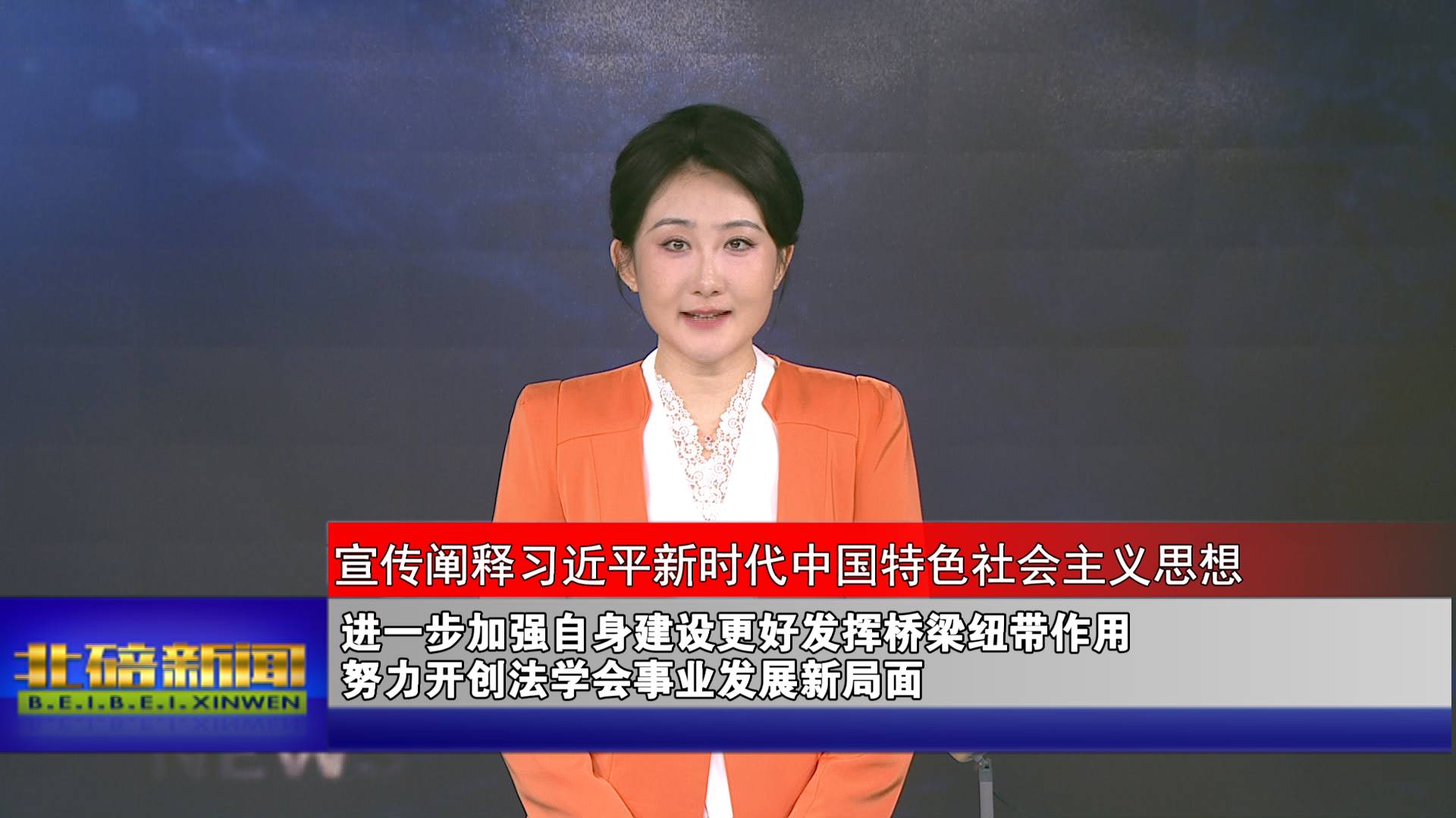 进一步加强自身建设更好发挥桥梁纽带作用 努力开创法学会事业发展新局面