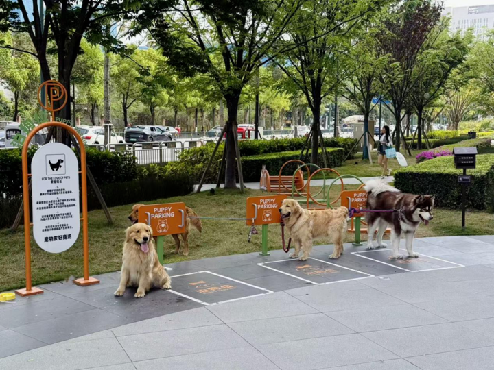 qi_niu_1775783998_9155680725.png