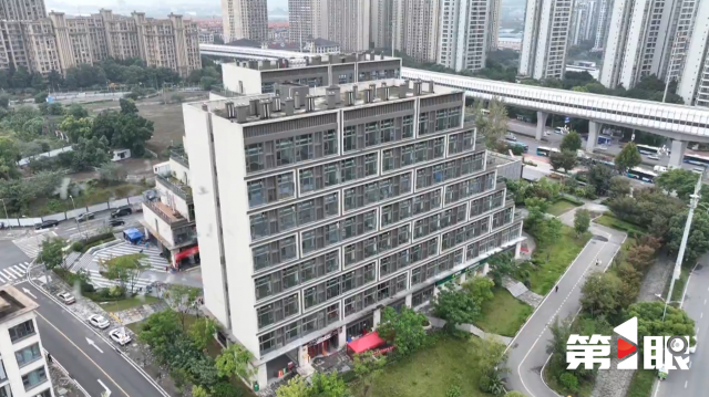 重庆新闻联播丨改革奋进正当时 · 打造数字化穿透式监管体系 护航国资国企高质量发展