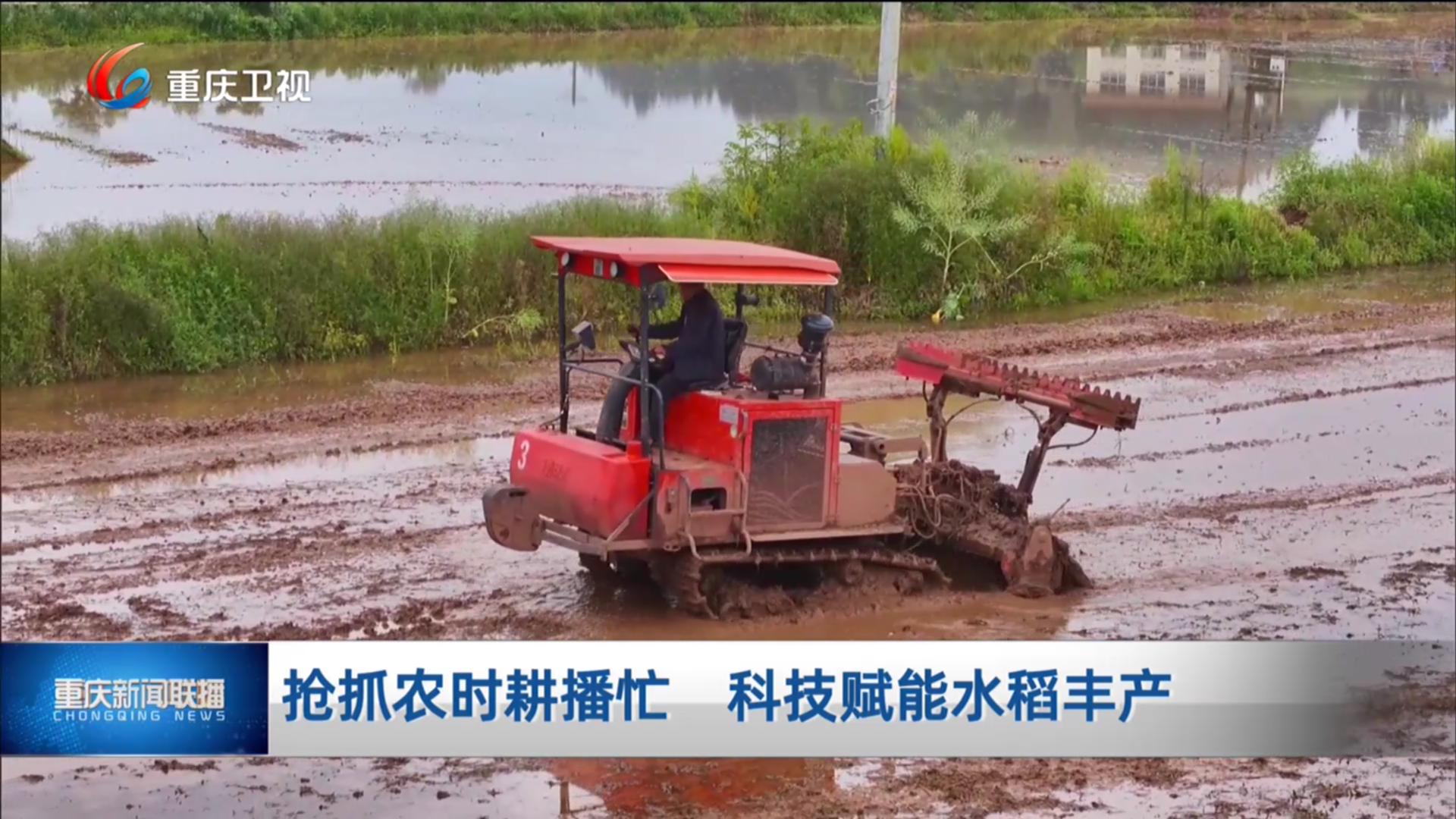 抢抓农时耕播忙 科技赋能水稻丰产