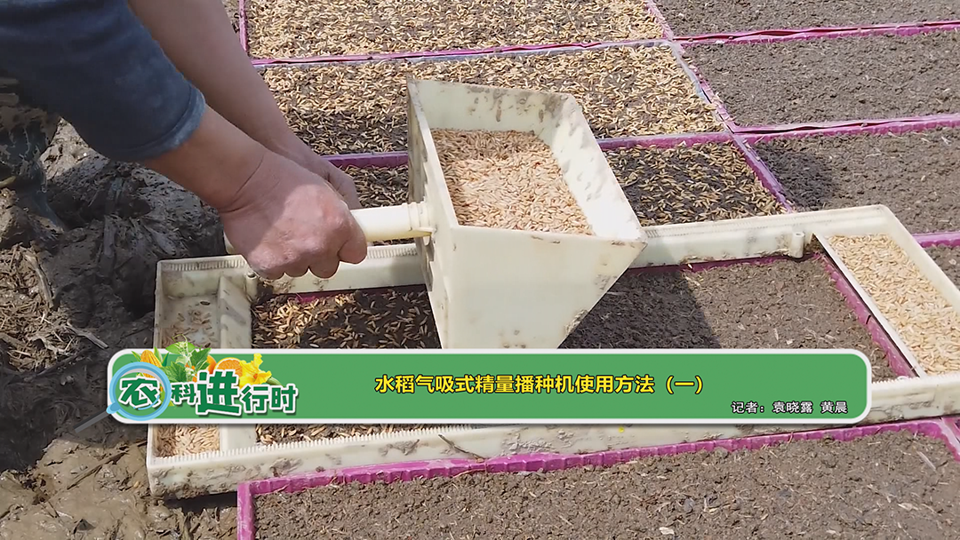 【农科进行时】水稻气吸式精量播种机使用方法（一）