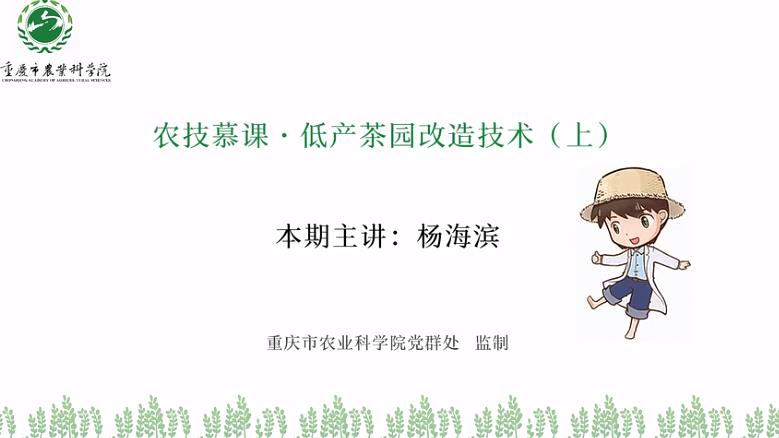 【农技慕课】低产茶园改造技术（上）