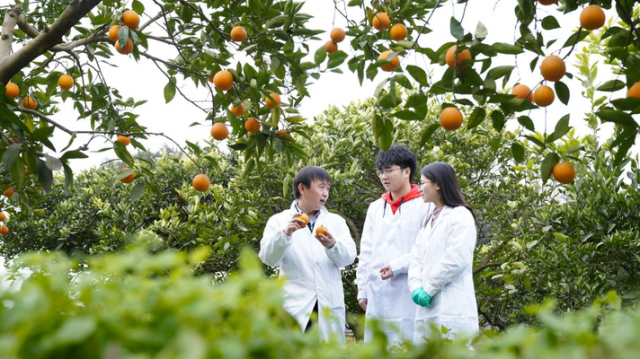 袁隆平的母校，扎根西部培育“大先生”——西南大学兴教兴农文脉的传承与发展