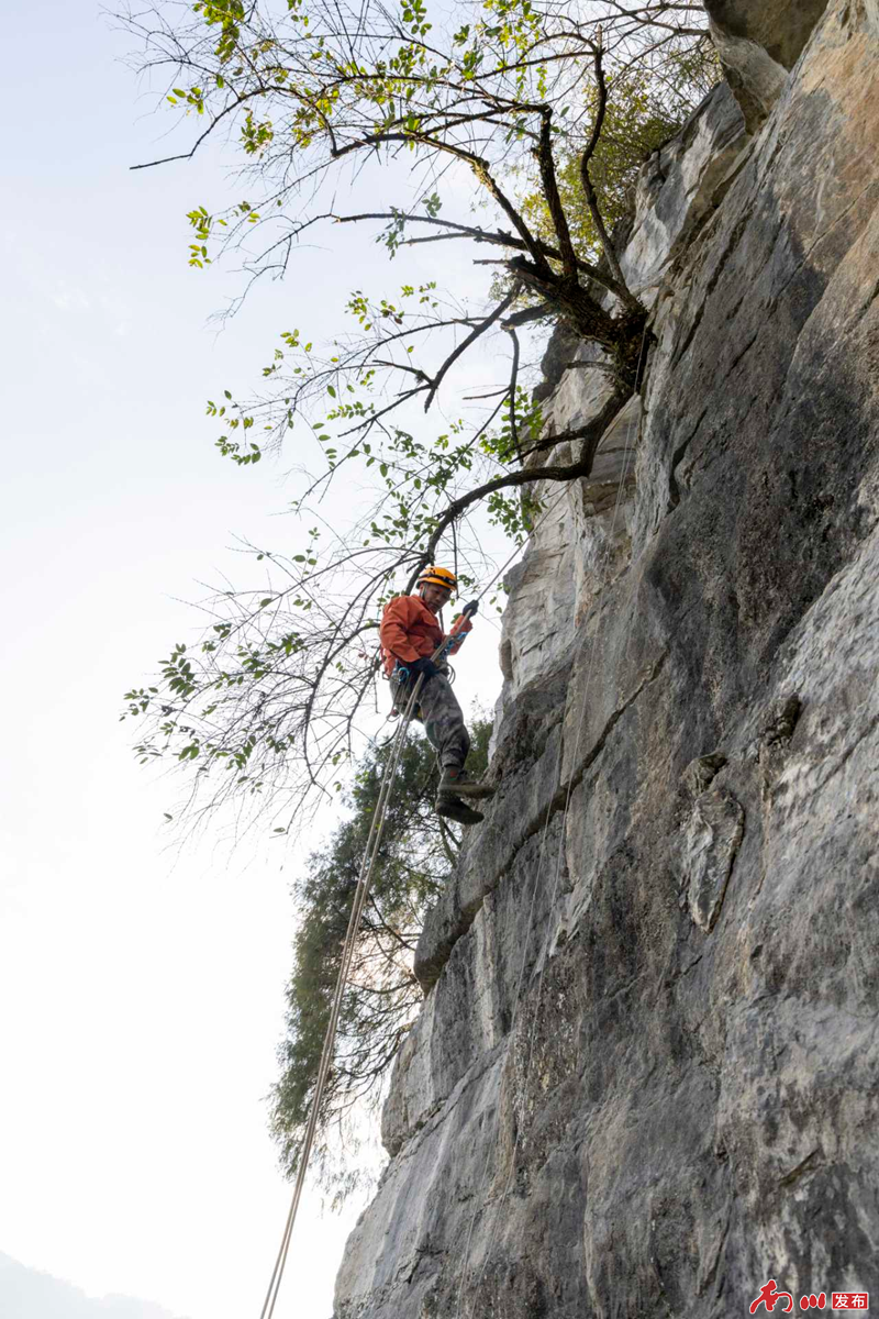 【凡人微光】他带着20人志愿队，让深山古砦“活”了