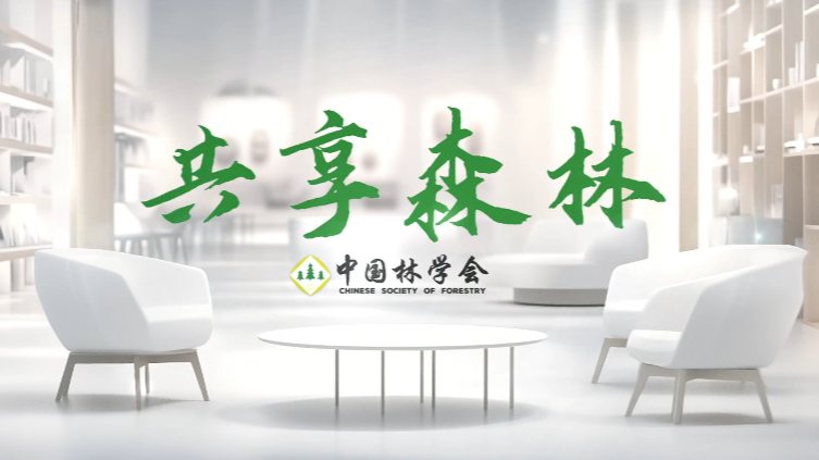 【共享森林】森林的秘密心脏——森林土壤
