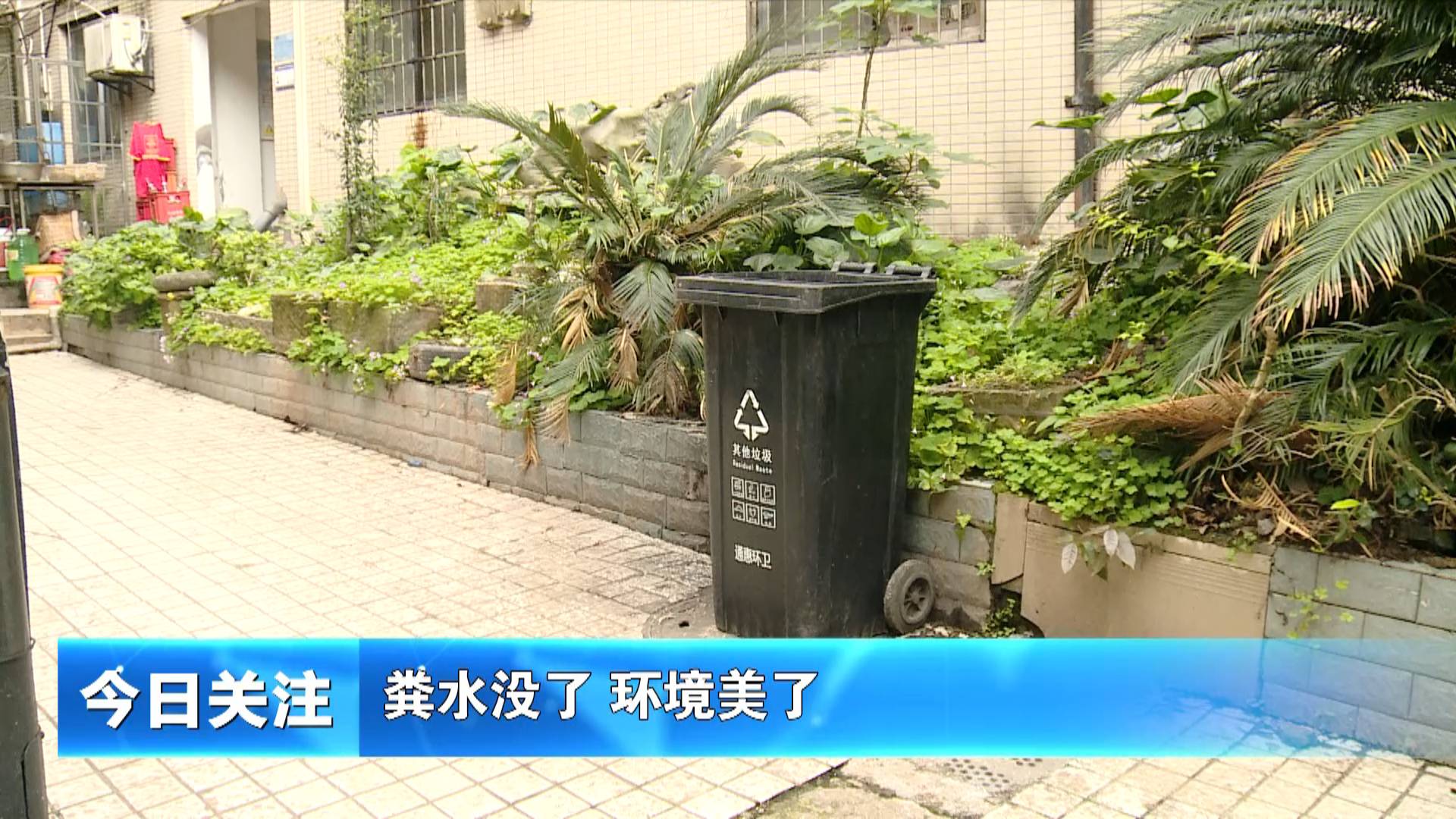 《今日关注》粪水没了 环境美了