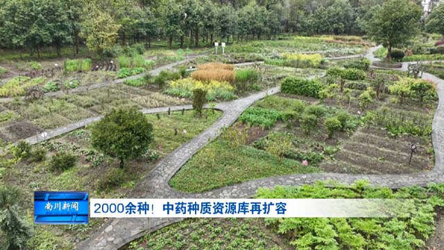 2000 余种！中药材种质资源库再扩容