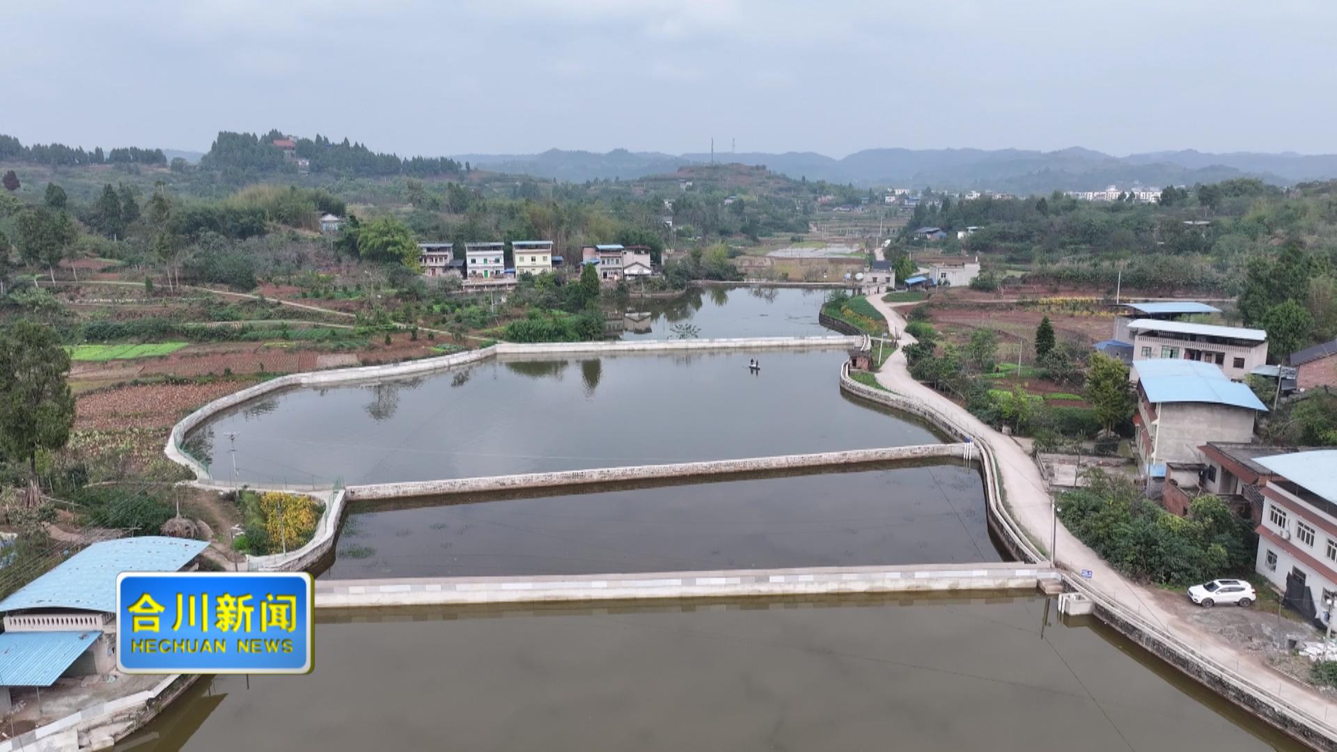 合川稻鳖正式上市 数字赋能生态珍品直达餐桌