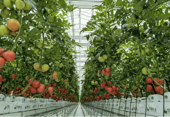 指尖农普入农家 万州区四农普综合试点绘就山乡新貌