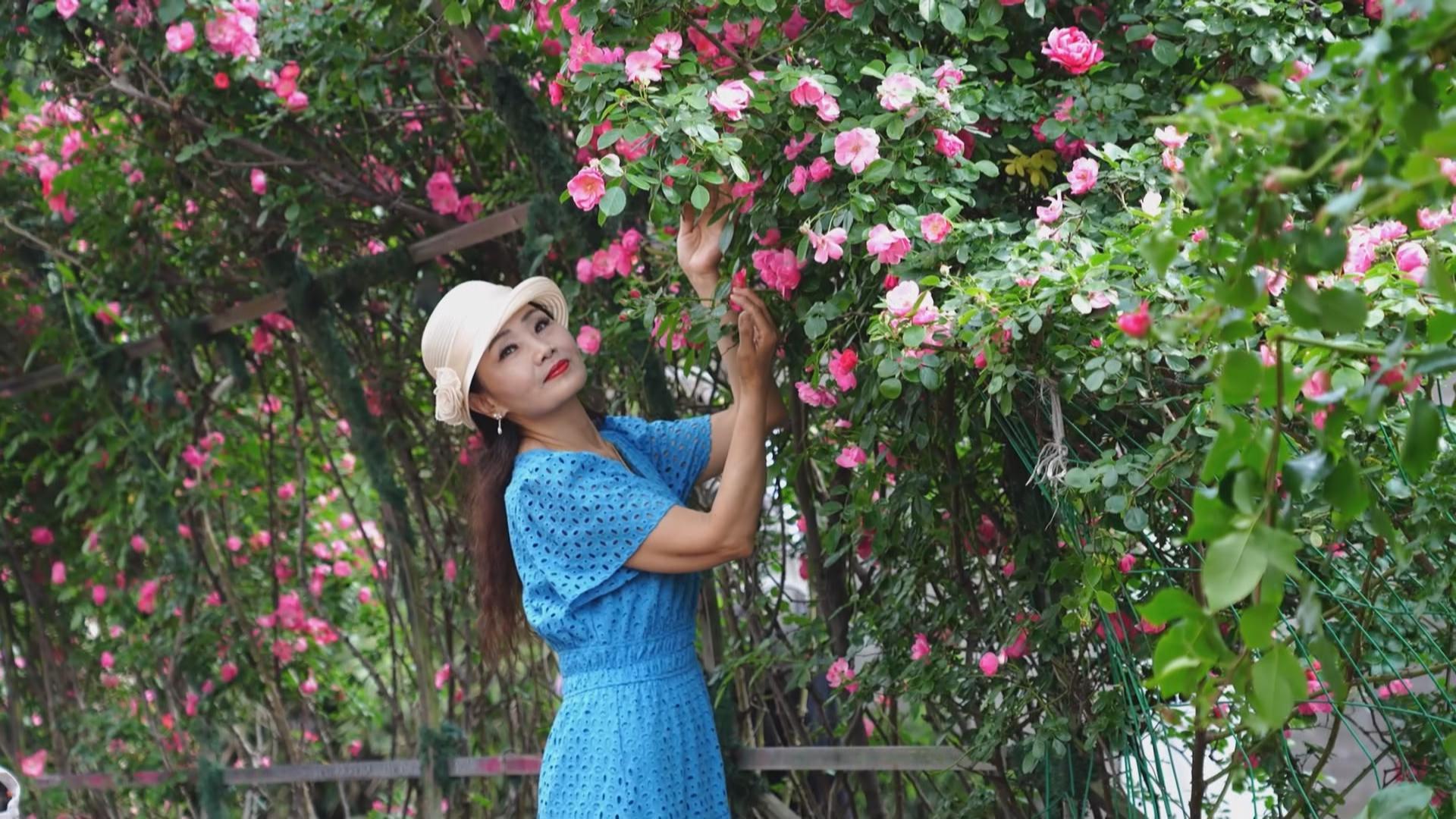 春到巴南遇见花开遇见你