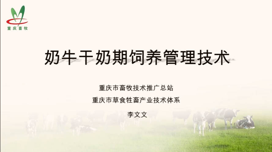 【农技慕课】奶牛干奶期饲养管理技术