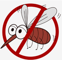 蚊子比夏天先到！防蚊攻略建议收藏