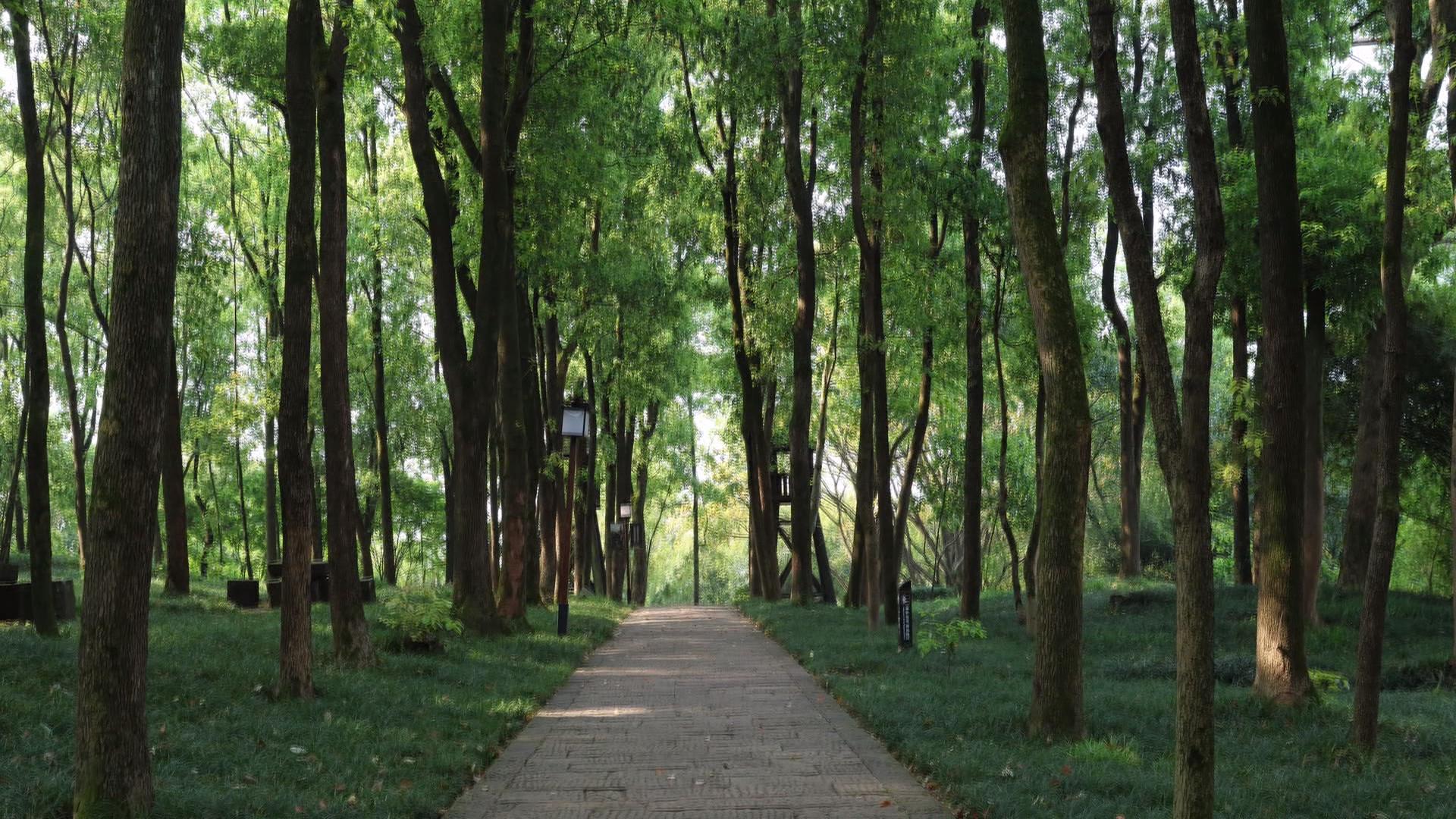 钓鱼城景区环卫绿化双提升护航5A创建