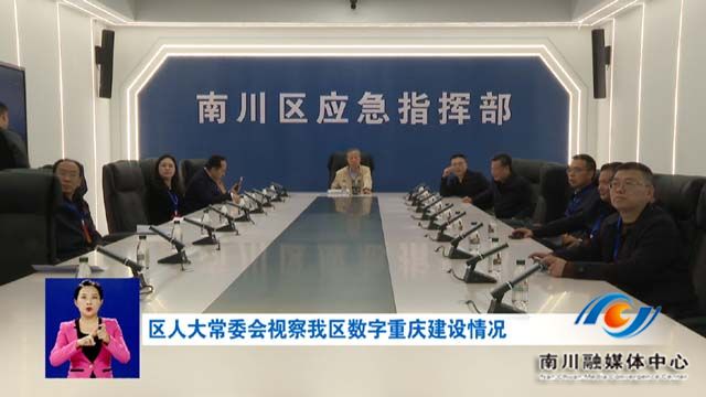 区人大常委会视察我区数字重庆建设情况