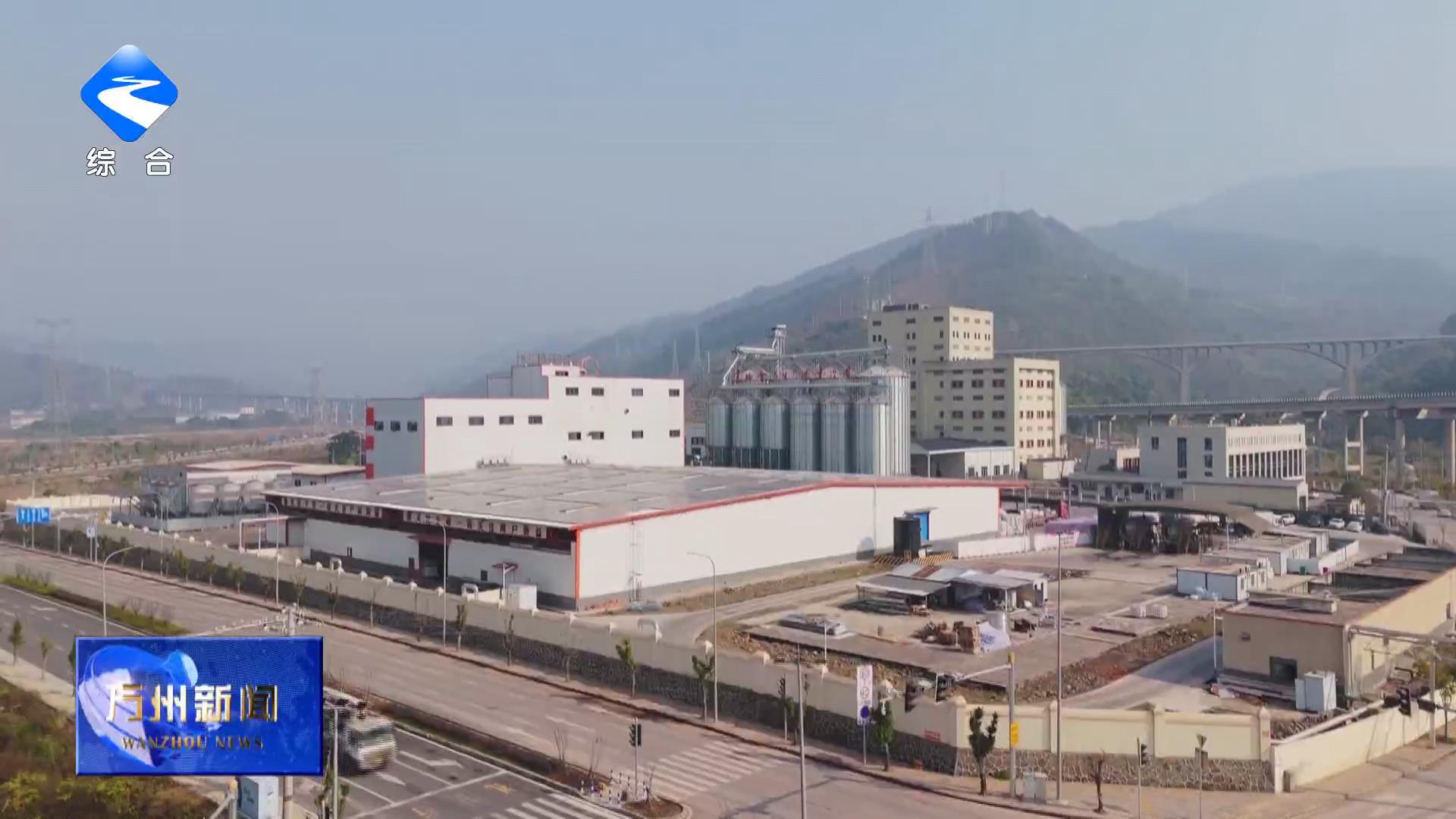 我区发挥新田港物流枢纽优势 培育壮大粮油加工贸易产业