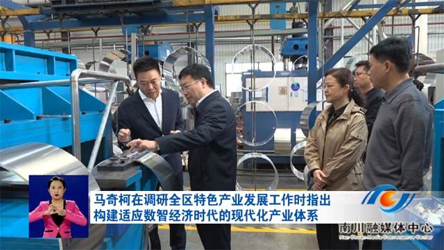 马奇柯在调研全区特色产业发展工作时指出 构建适应数智经济时代的现代化产业体系