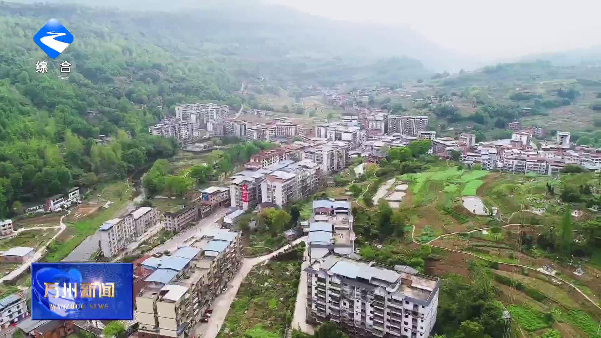 “订单农业+深加工”双轮驱动 激活乡村振兴新动能