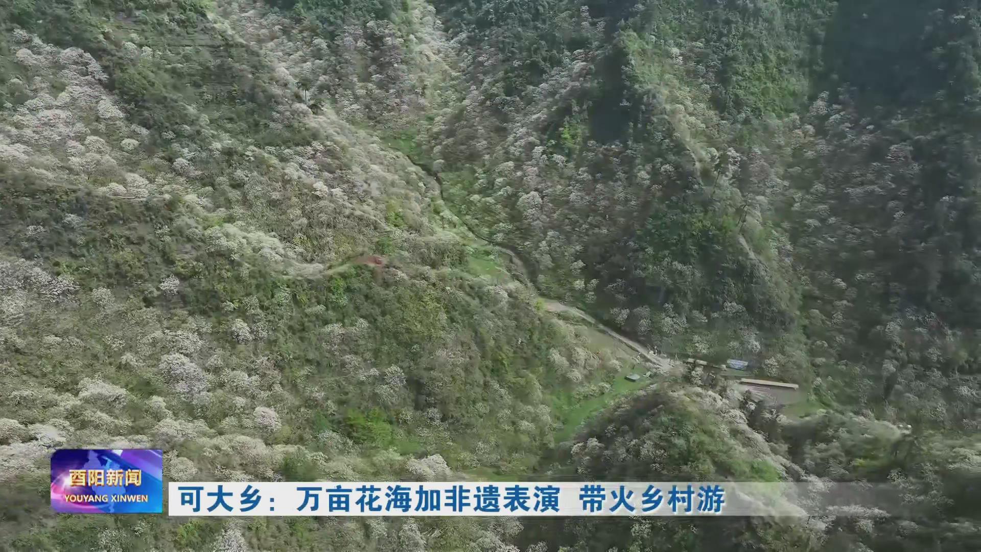 可大乡：万亩花海加非遗表演 带火乡村游