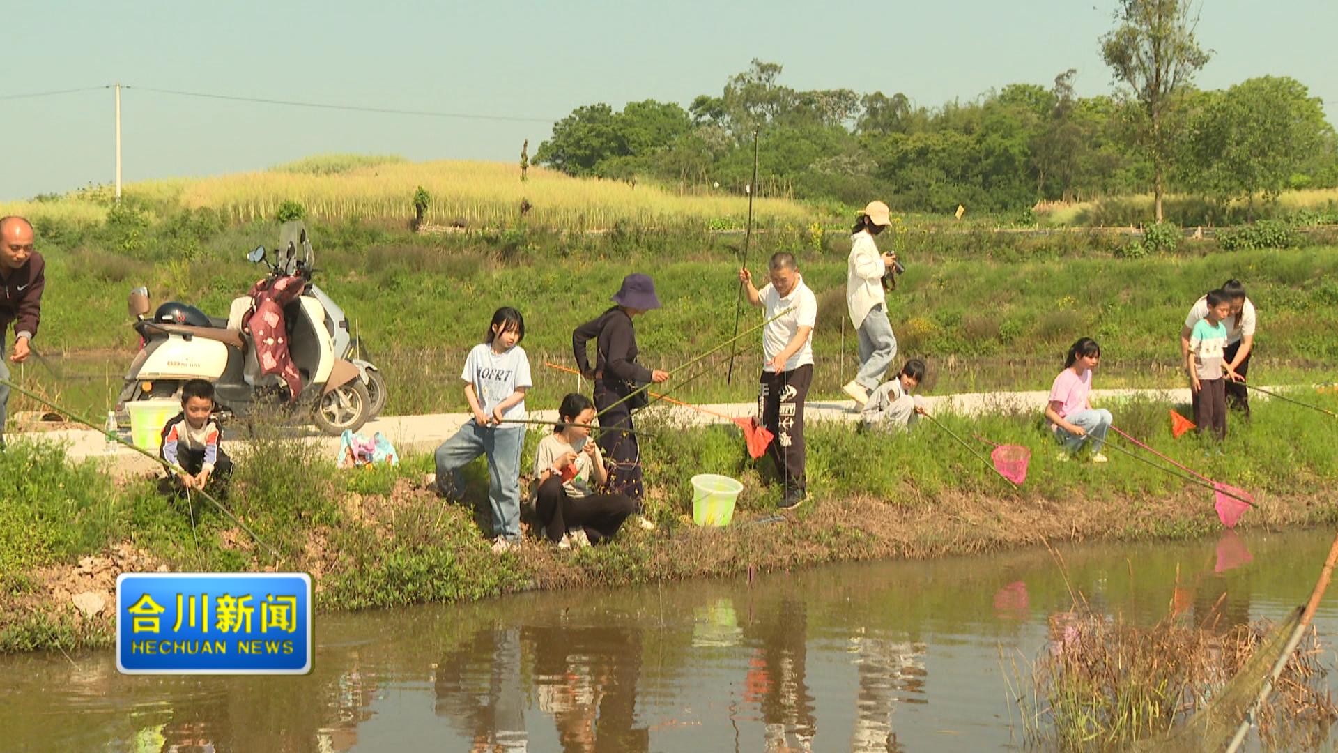 钓虾识虾趣！二郎镇亲子活动解锁稻虾文化新玩法