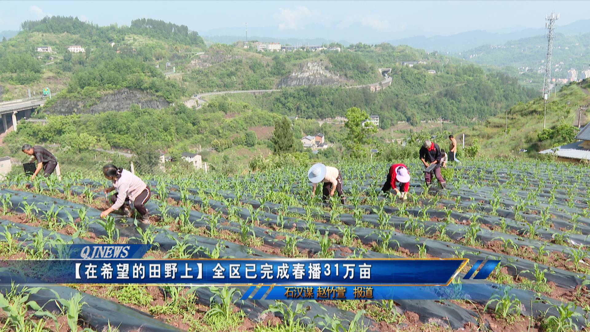 【在希望的田野上】全区已完成春播31万亩