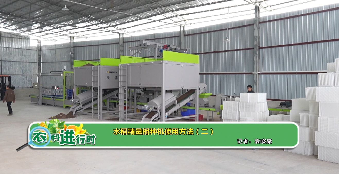 【农科进行时】水稻精量播种机使用方法（二）
