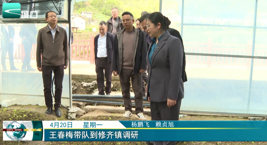 王春梅带队到修齐镇调研
