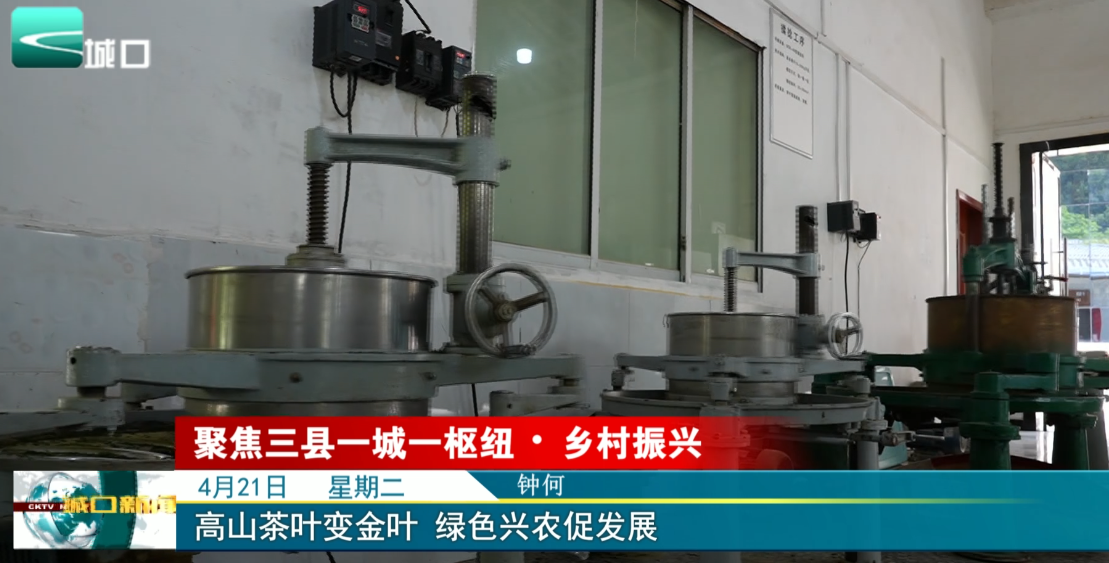 
高山茶叶变金叶 绿色兴农促发展