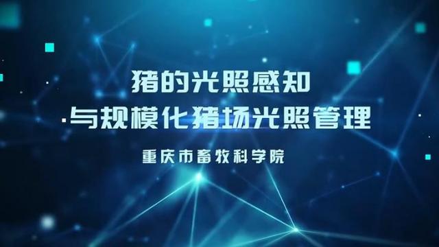 【农技慕课】《猪的光照感知与规模化猪场光照管理》第三节