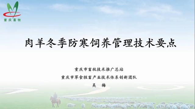 【农技慕课】肉羊冬季防寒饲养管理技术要点