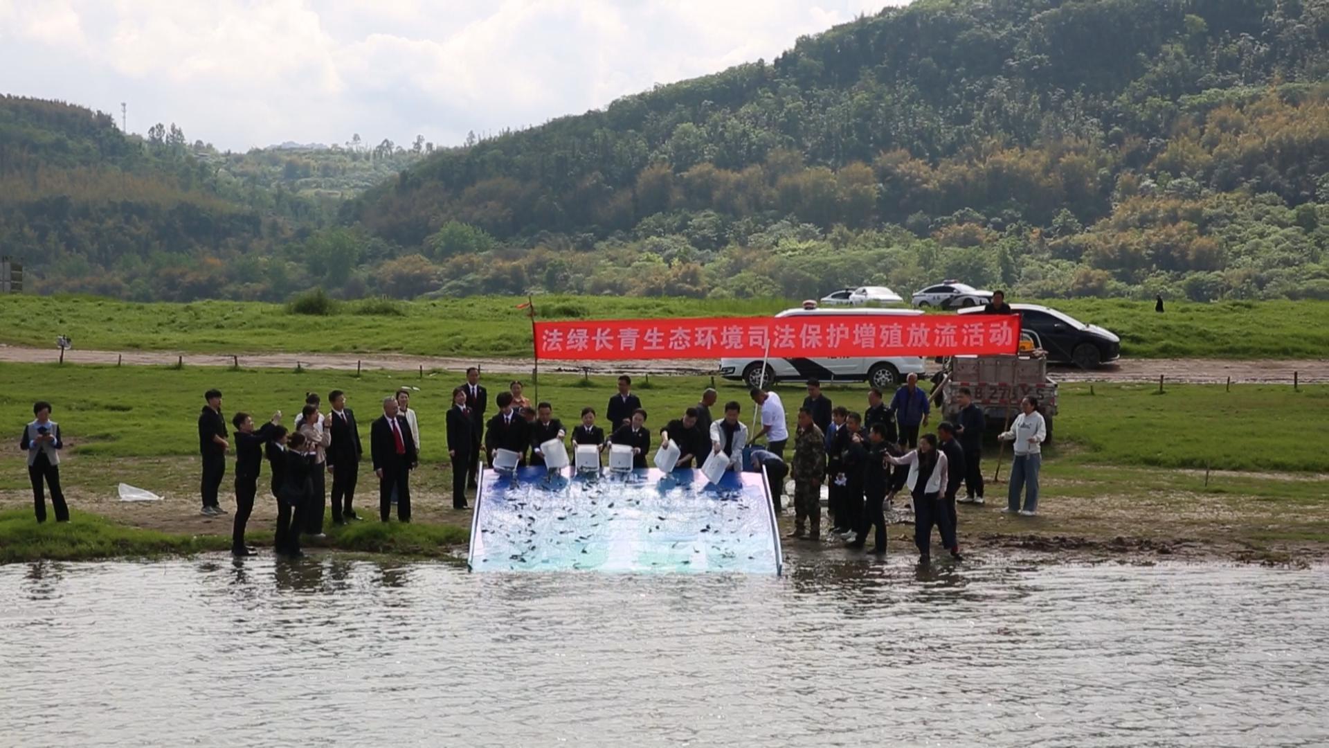 重庆首个法绿长青生态环境司法保护工作站揭牌