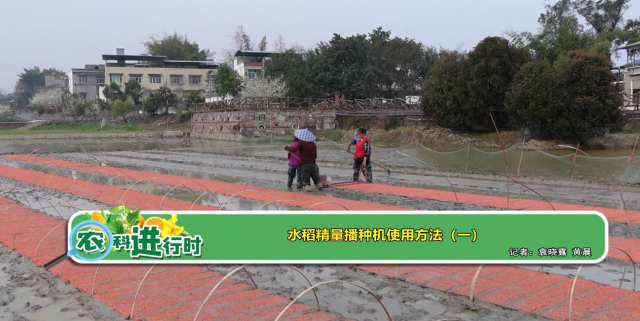 【农科进行时】水稻精量播种机使用方法（一）