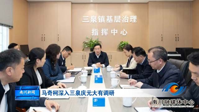马奇柯深入三泉庆元大有调研