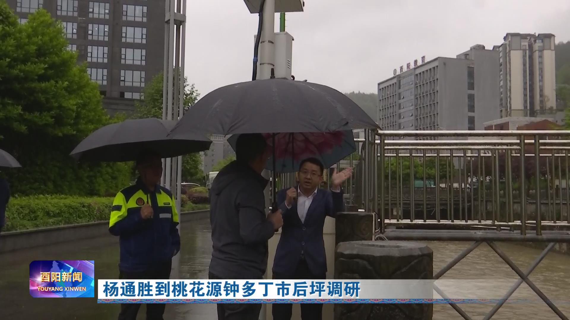 杨通胜到桃花源钟多丁市后坪调研