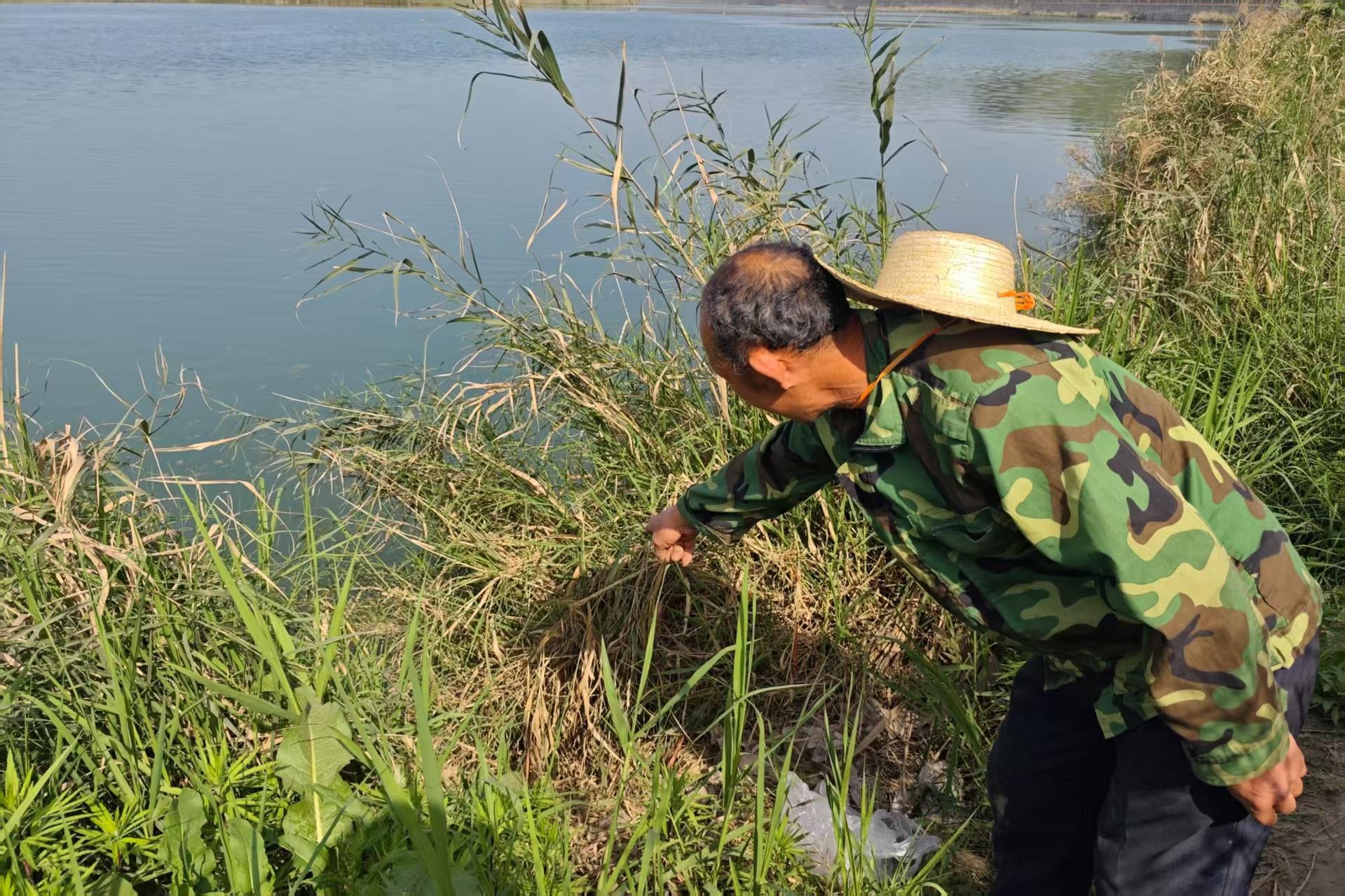 刘安志还原扒开草丛、发现落水老人的场景。通讯员 陈俊霖 摄