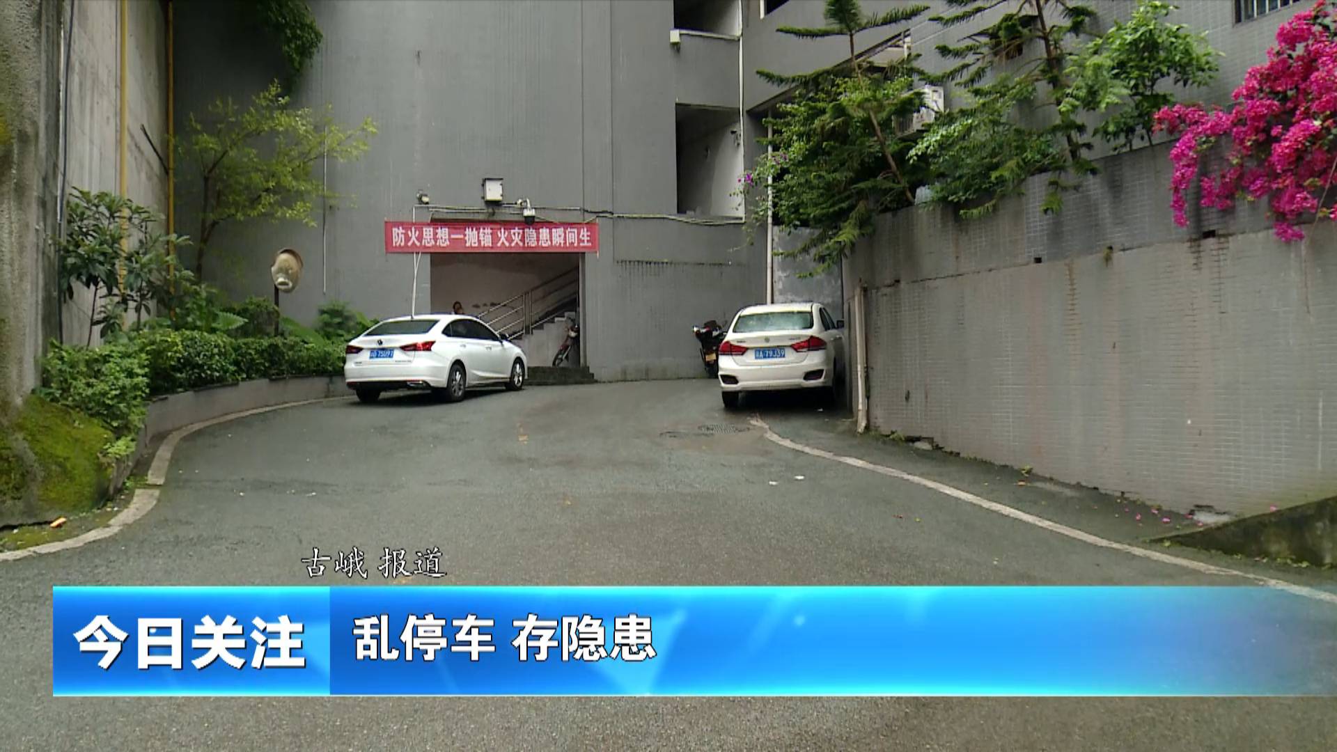 《今日关注》乱停车 存隐患
