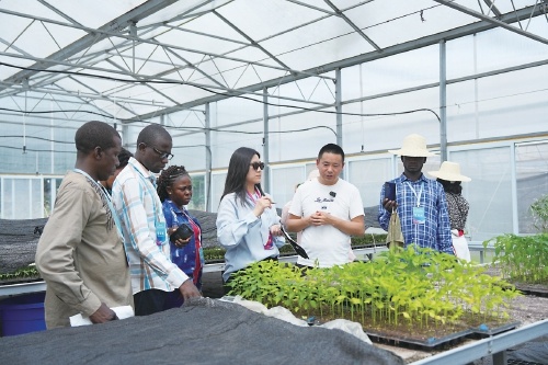 中非共和国研修团学员听中国专家讲解育苗知识。资料图