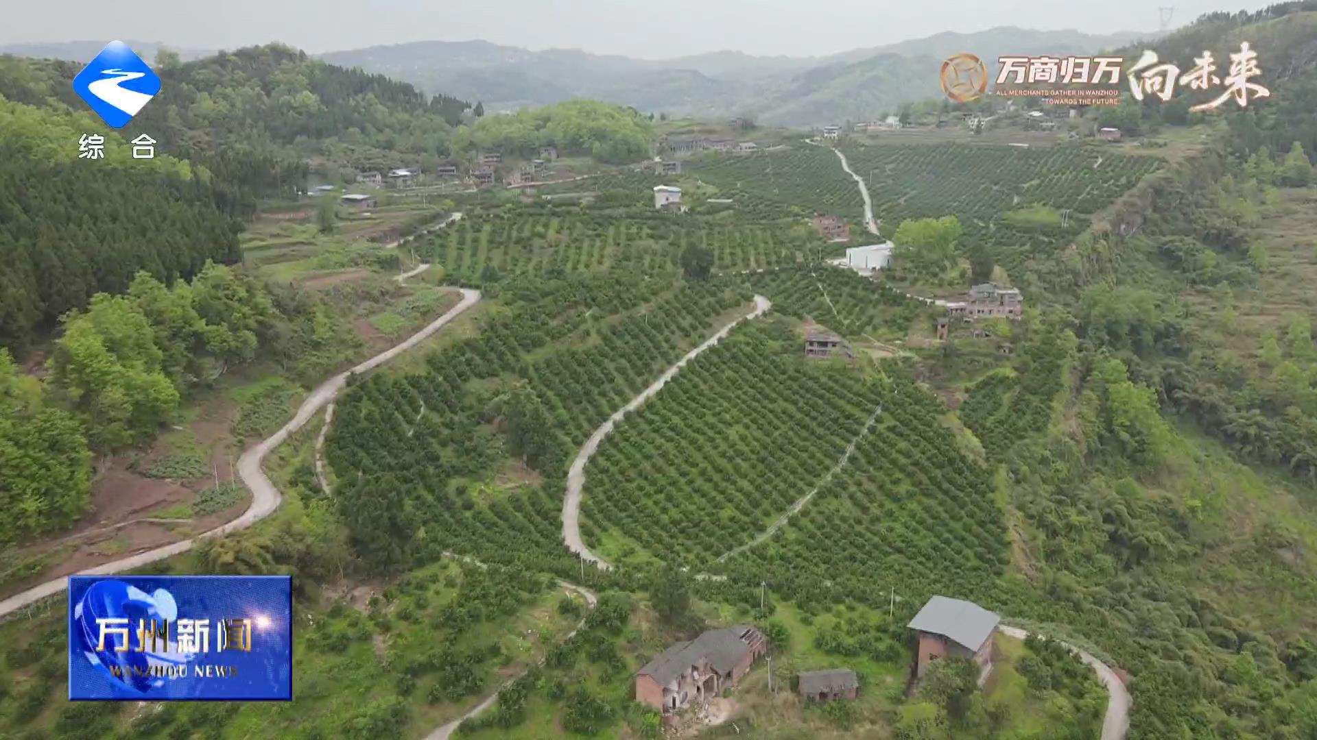 【万商归万.向未来】万州食品及农产品加工产业跑出加速度