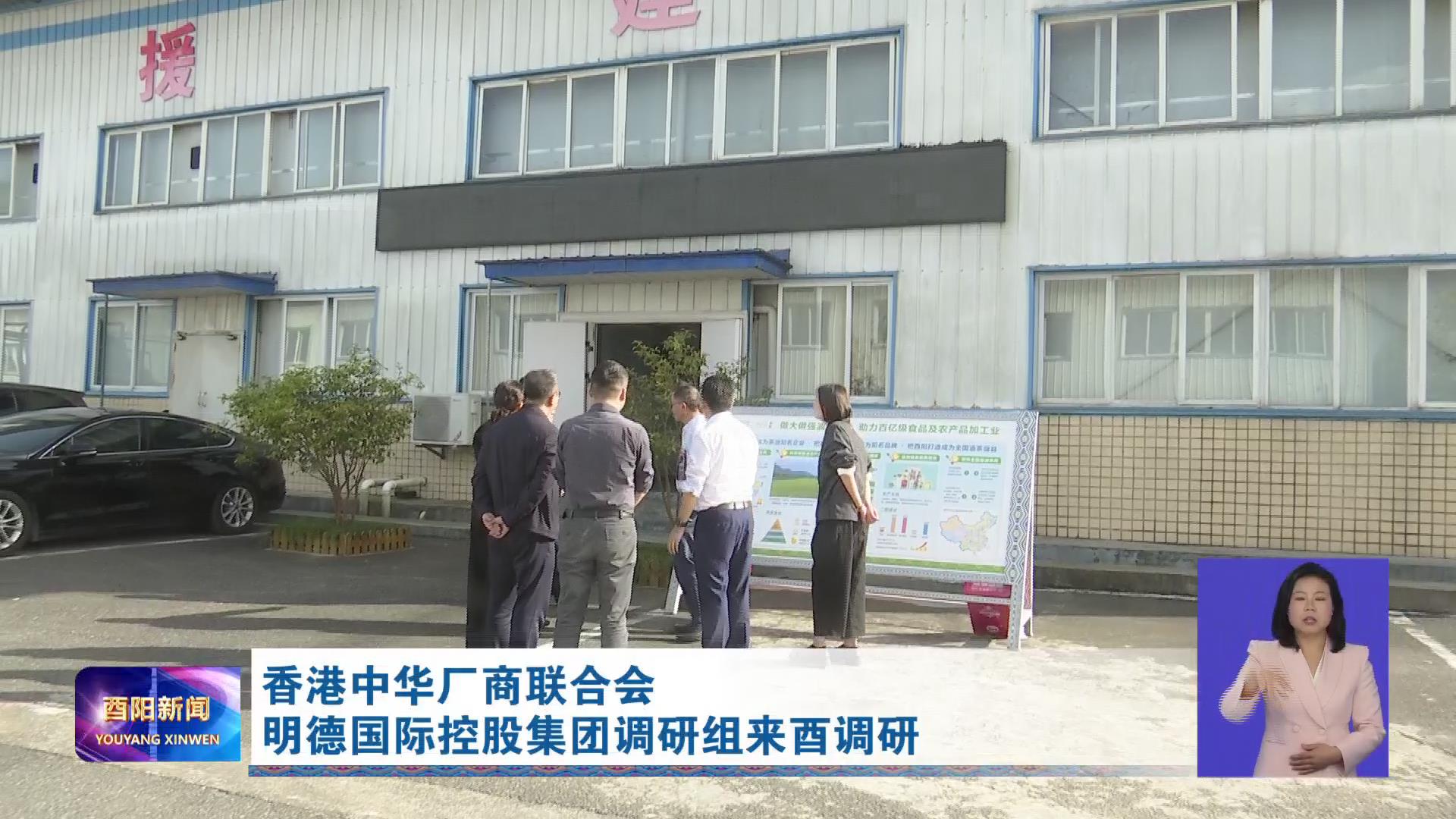香港中华厂商联合会明德国际控股集团调研组来酉调研
