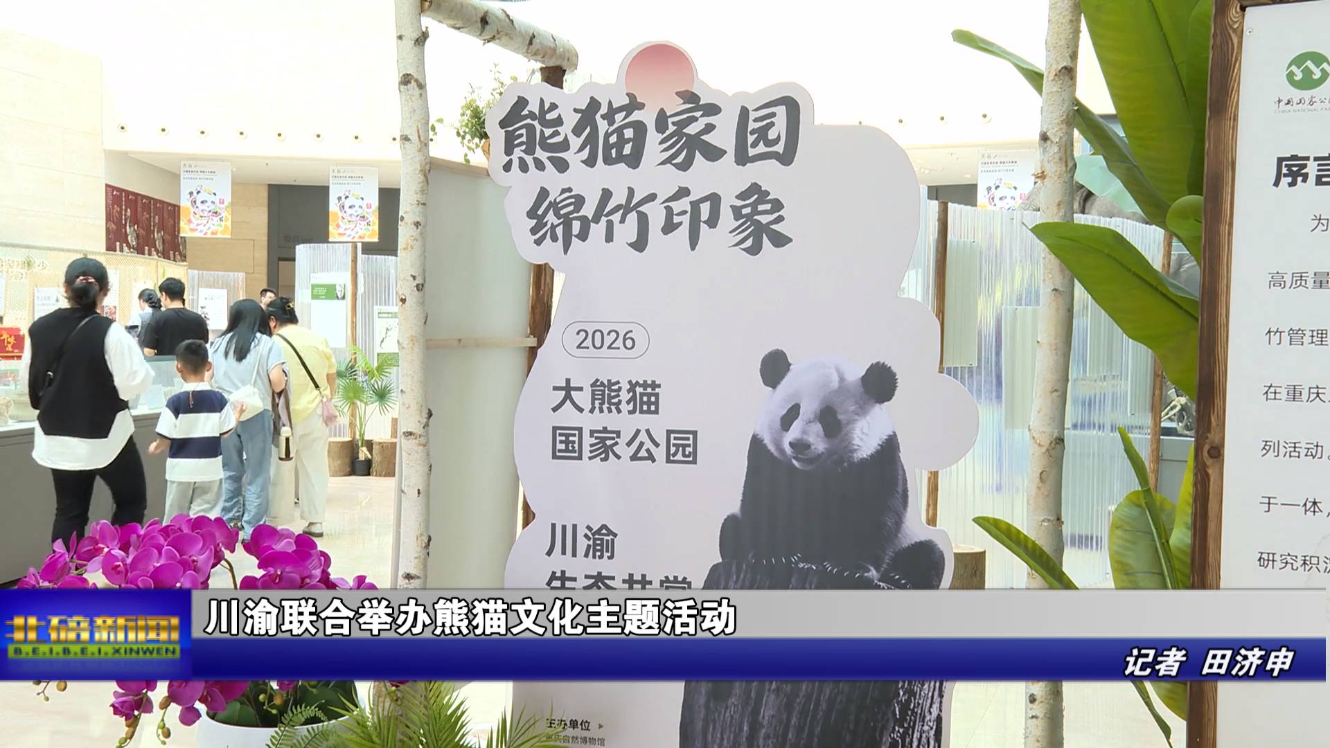 川渝联合举办熊猫文化主题活动