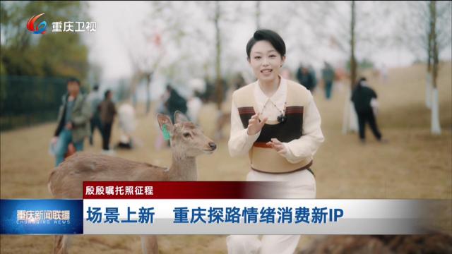 场景上新 重庆探路情绪消费新IP 