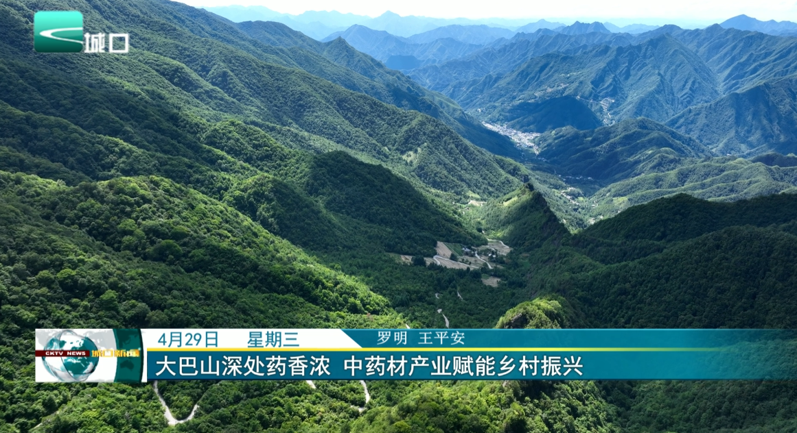 大巴山深处药香浓 中药材产业赋能乡村振兴