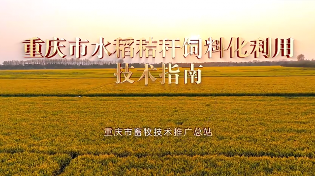 【农技慕课】重庆市水稻秸秆饲料化利用技术指南：青贮方式