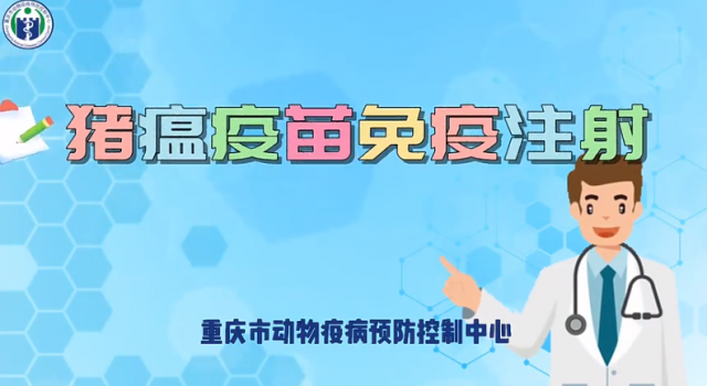 【农技慕课】《猪瘟疫苗免疫注射》
